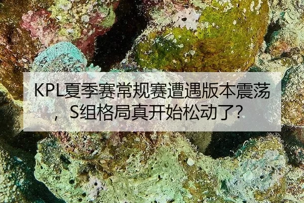 xia-ji-sai-chang-gui-sai-zao-yu-ban-ben-zhen-dang-zu-ge-ju-zhen-kai-shi-song-dong-le-2-486.jpg